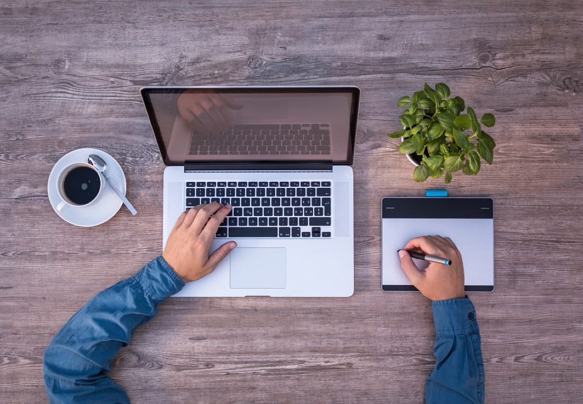 Canva ou Adobe Express : choisir pour créer des visuels
