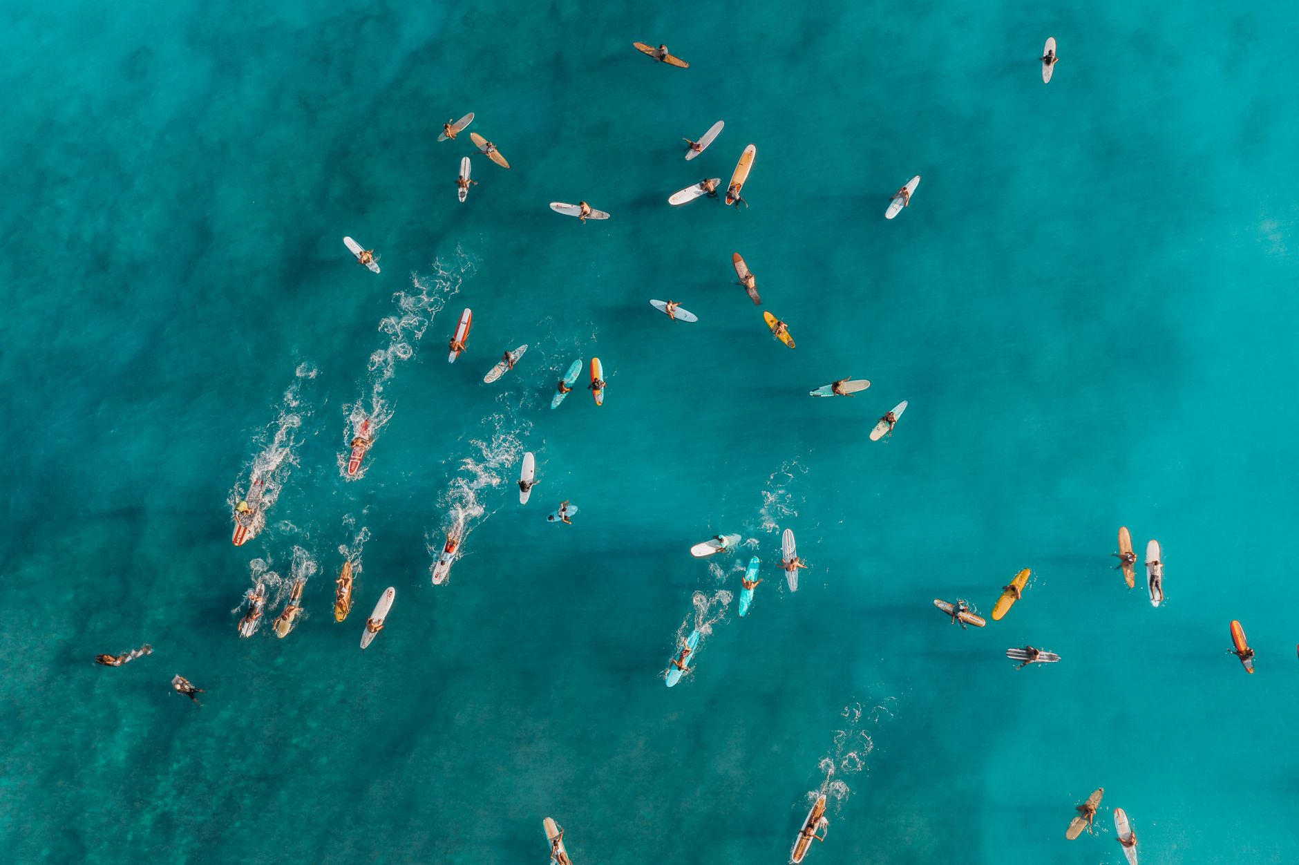 Avis sur Surfer SEO, outil d'optimisation de contenu SEO
